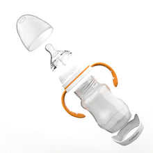 Load image into Gallery viewer, CalMyotis Feeding bottles