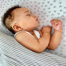 Load image into Gallery viewer, CalMyotis Reversible Blanket Gray